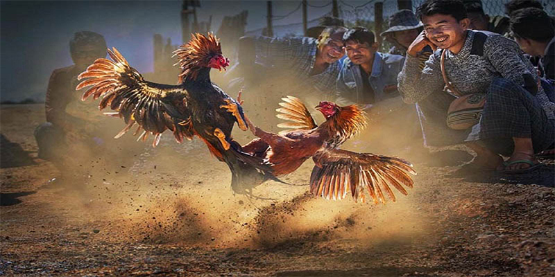 168vn xổ số bữa nay