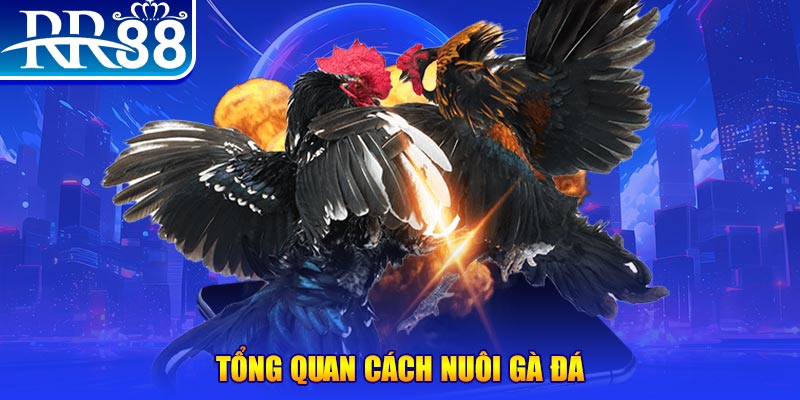 168vn game nổ hũ rút tiền mặt là gì