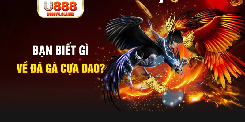 168vn SW Xổ Số