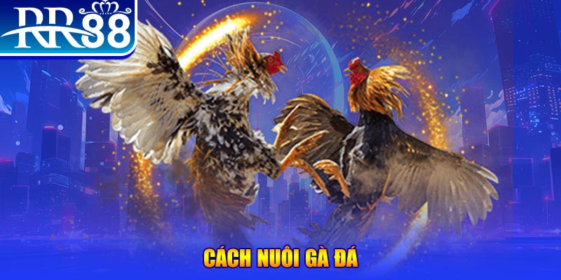 168vn đăng nhập phỏm đổi thưởng