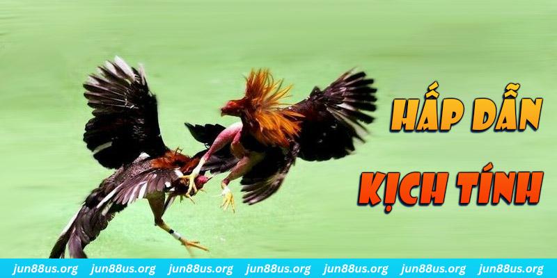 168vn đăng nhập roulette online