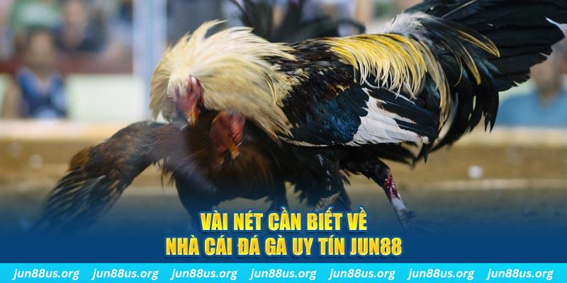 168vn đăng nhập phỏm khuyến mãi