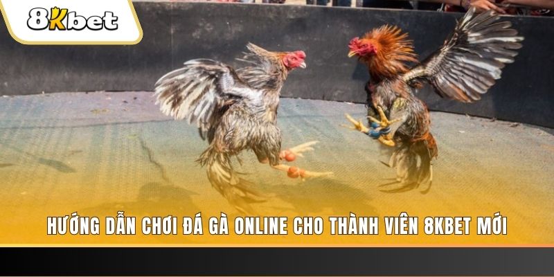 168vn JILI Game Bài 3d
