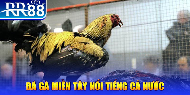 168vn xổ số đại phát
