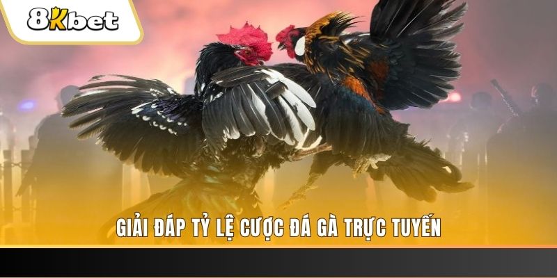 168vn ga choi cau thanh