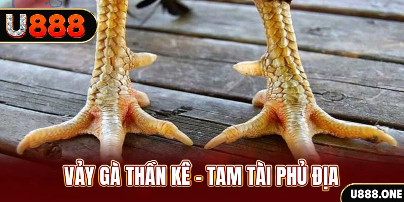 168vn xổ số miền trung thứ hai hàng tuần
