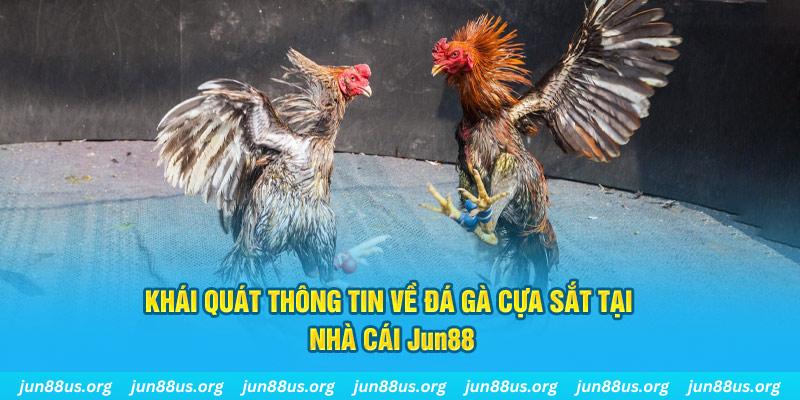 168vn xổ số miền bắc thứ bảy hàng tuần