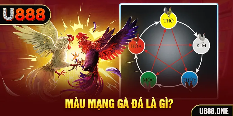 168vn xổ số miền trung thứ tư hàng tuần