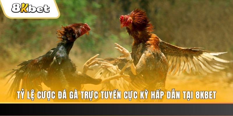 168vn đăng nhập nổ hũ trực tuyến