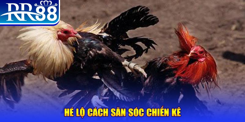 168vn xổ số miền trung thứ tư