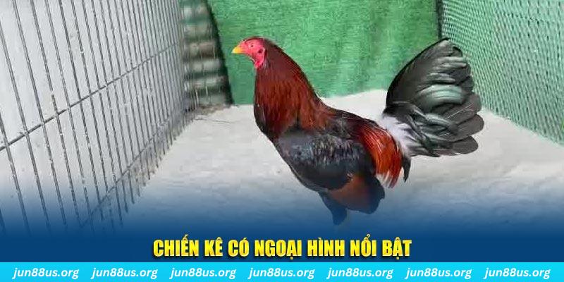 168vn game bắn cá