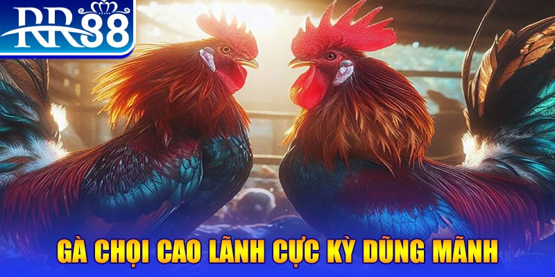 168vn HB Điện Tử